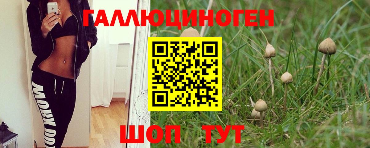 Псилоцибиновые грибы MAGIC MUSHROOMS Нижневартовск
